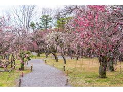 �����{�����@�~�т̎ʐ^1