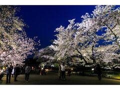 ���s�{���A�����@�����C�g�A�b�v�̎ʐ^1