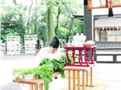 ���{�@�������̓��̎ʐ^1