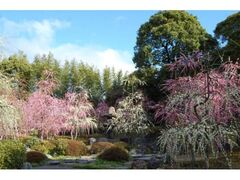 ������~�ƒւ܂�̎ʐ^1