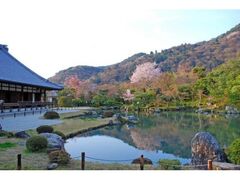 �V�����̍��̎ʐ^1