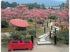 笐S�@�@����~���̎ʐ^1