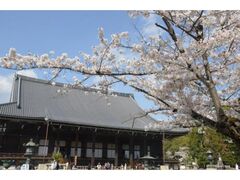 �m���@�̍��̎ʐ^1