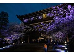 �m���@�t�̃��C�g�A�b�v�̎ʐ^1