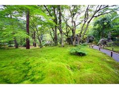 �V���������@�󌵉@�@�t�̓��ʔq�ς̎ʐ^1