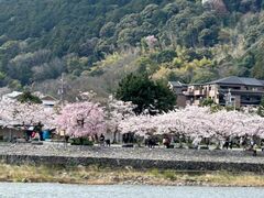 ���R�̍��̎ʐ^1