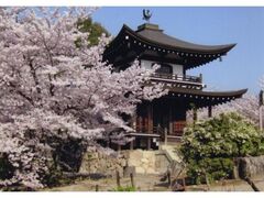 ���C���̍��̎ʐ^1