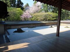 �������̍��̎ʐ^1