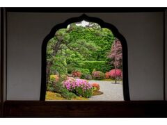 �哿�����Չ@�@�t�̓��ʌ��J�̎ʐ^1