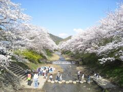 ��蒬�@�ʐ��̂�����̎ʐ^1