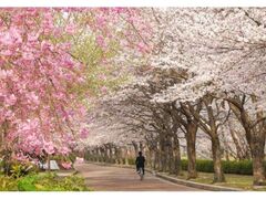 �T��������E�B�[�N�̎ʐ^1