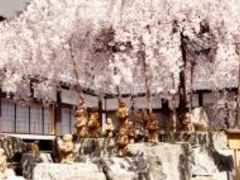 �Z�p���̌�K���̎ʐ^1