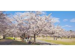 �����͂�ȋL�O�����̍��̎ʐ^1