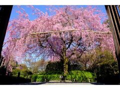 ���S���ޑ��@�@�ύ���̎ʐ^1