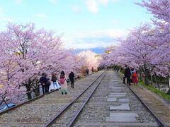 �R��C���N���C���̍��̎ʐ^1