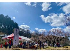 �a�ؒ������~�с@�~�̌����̎ʐ^1