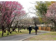 ��z�E�H�[�N�u�J�̔~�̉ԂƗ��j���߂���E�H�[�N�v�̎ʐ^1