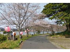 ���΂̍��̎ʐ^1