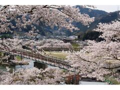 �}�u������܂�̎ʐ^1