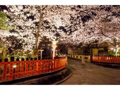 �_�����쏪�����C�g�A�b�v�̎ʐ^1