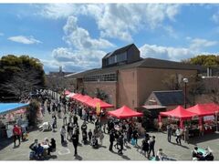 ��31��炭�����������2026�̎ʐ^1