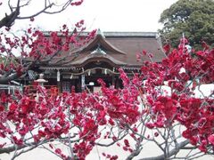 �������V���{�@��Ձi�~�ԍՁj�̎ʐ^1