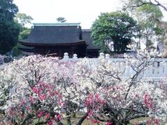 �������V���{�@�~�܂�̎ʐ^1