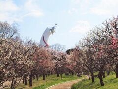 �����L�O�����@�~�܂�2026�̎ʐ^1