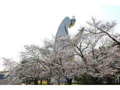 SAKURA EXPO 2026�̎ʐ^1