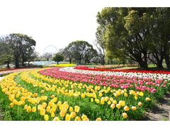 �����L�O�����`���[���b�v�t�F�X�^�̎ʐ^1