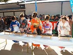 ���V���{�@���j�܂�̎ʐ^1