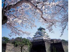 ��������̍��̎ʐ^1