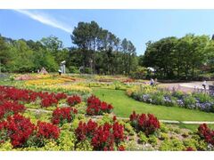 �Ԃ̕������@�t�̃t�����[�R���T�[�g�̎ʐ^1