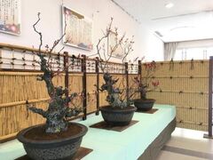 �t��������~�~�W�̎ʐ^1