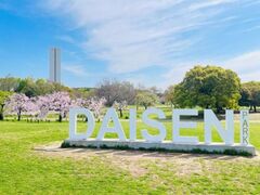 �������̍��̎ʐ^1