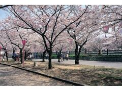 �єn���V�{�����̊ύ��̎ʐ^1