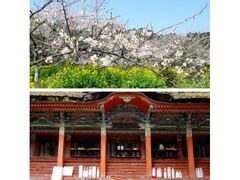 ���F���~�с@�����̎ʐ^1