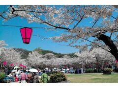 �ےË��̂�����̎ʐ^1