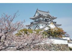 �ݘa�c��̍��̎ʐ^1