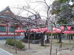 �y����א_�Ё@����̎ʐ^1