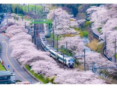 �R���k���Ղ�̎ʐ^1