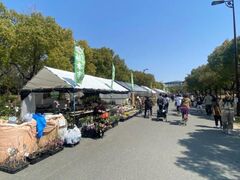 �t�̐A�؎s�i�ߌ��Βn�j�̎ʐ^1