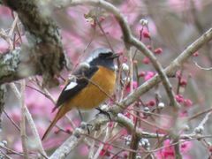 �����T����E���T����̎ʐ^1