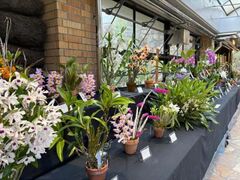 ��80��t�̗m���W�̎ʐ^1