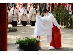 ����_�Ё@���ߍՂ̎ʐ^1