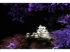 �P�H������̎ʐ^1