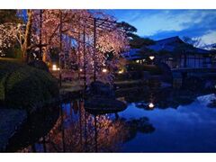 �D�É������̎ʐ^1