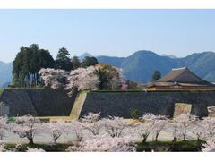 �O�g�R������܂�̎ʐ^1