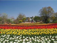 �`���[���b�v�܂�2026�̎ʐ^1