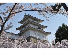 ���Ό����̍��̎ʐ^1